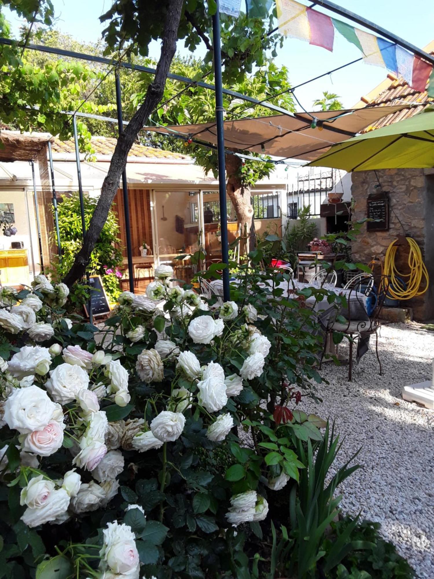Hotel Les Terres Basses Fabrezan Exterior foto